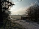 Throstle Nest
